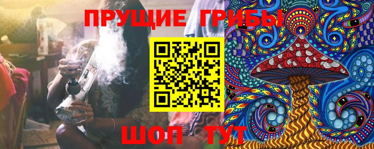Галлюциногенные грибы Magic Shrooms Зеленогорск