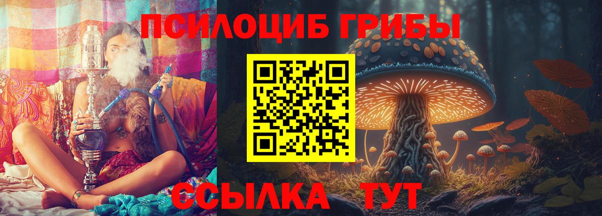 Псилоцибиновые грибы GOLDEN TEACHER  Вход с VPN  Зеленогорск  Псилоцибиновые грибы MAGIC MUSHROOMS 